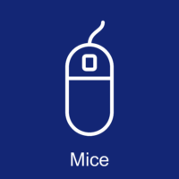 Mice